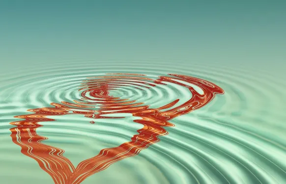 Rex Casino Kundeservice